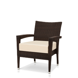 Club Chair Club Chair